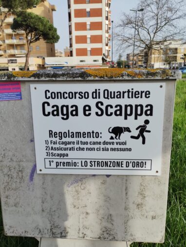 feci di cane abbandonate foto di concorso ironico sulla cacca del cane