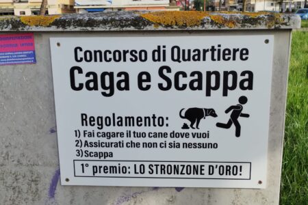 Feci di cane nei quartieri: il problema dell’inciviltà urbana raccontato da una fotografia