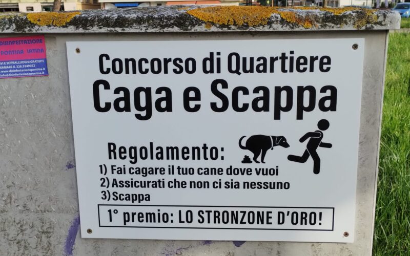 Feci di cane nei quartieri: il problema dell’inciviltà urbana raccontato da una fotografia